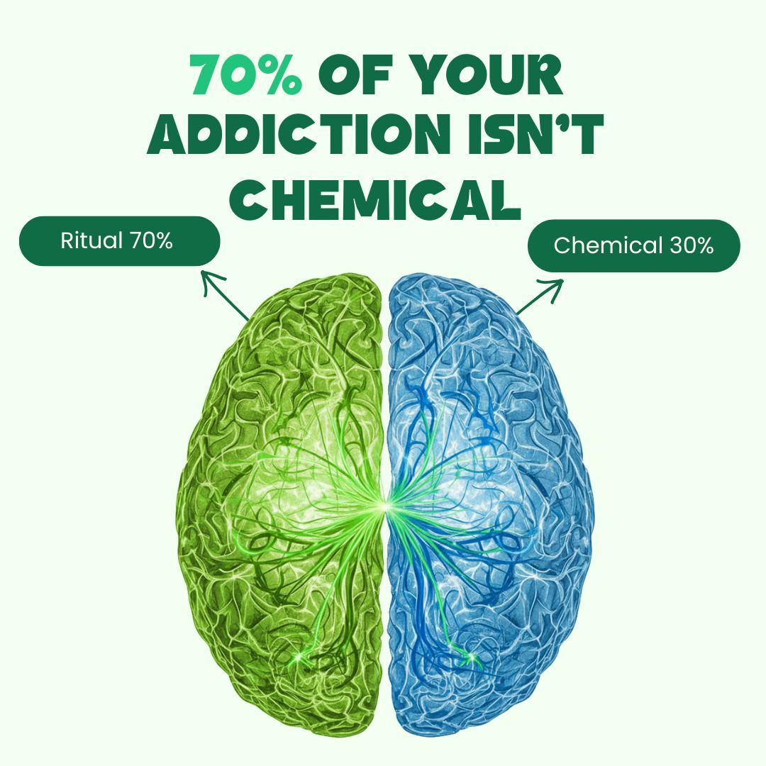 Lio® Everything Pack (51% OFF)