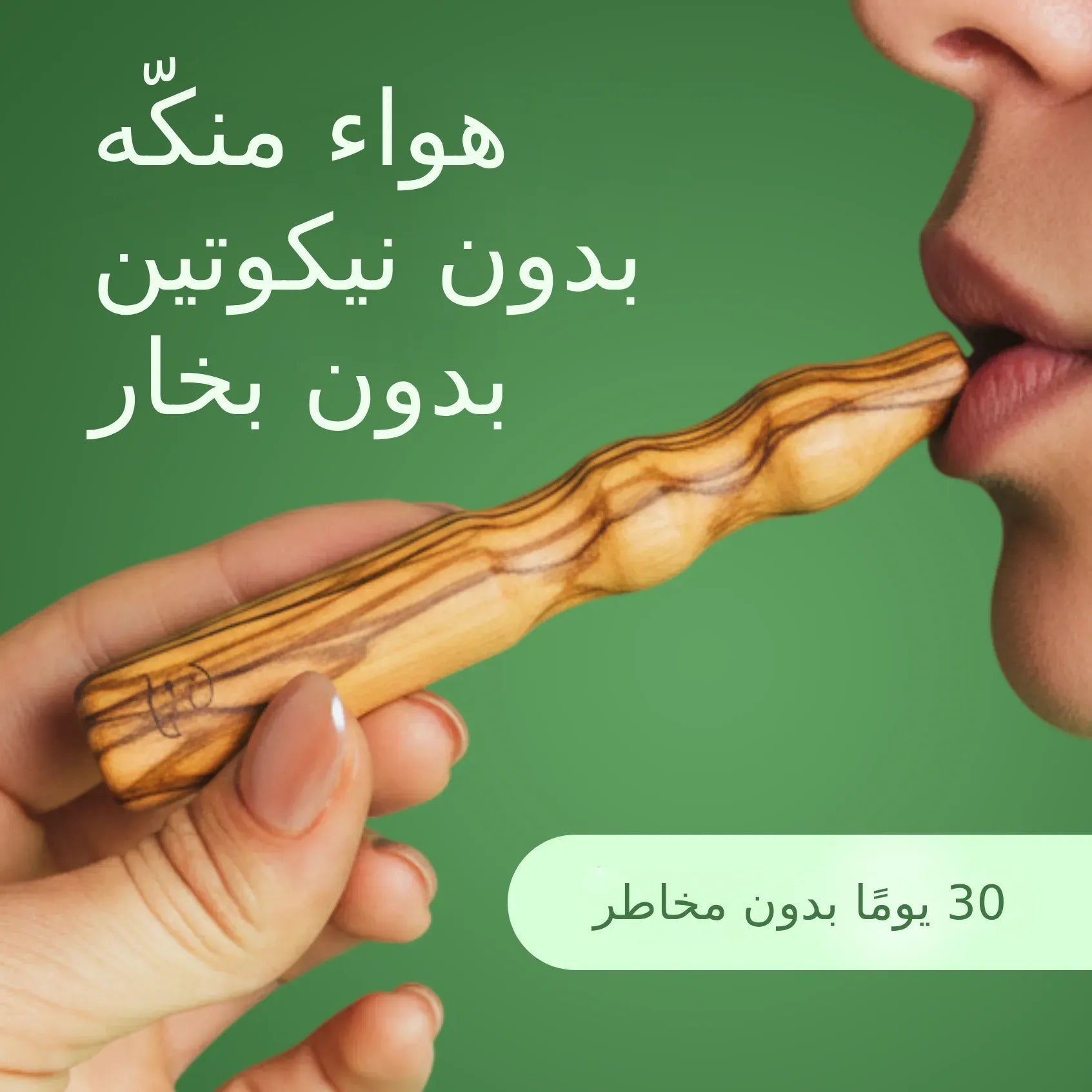 حزمة ليو للمبتدئين